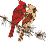 Red Bird Rentals Logo